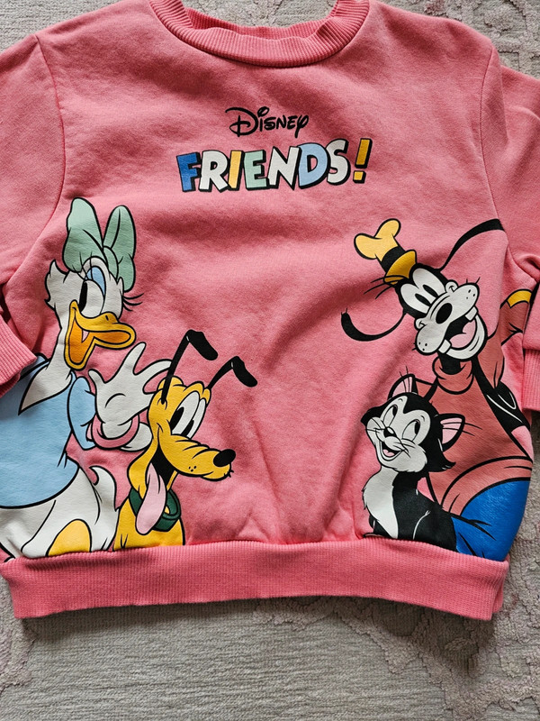 Pink Disney Friends sweatshirt 2