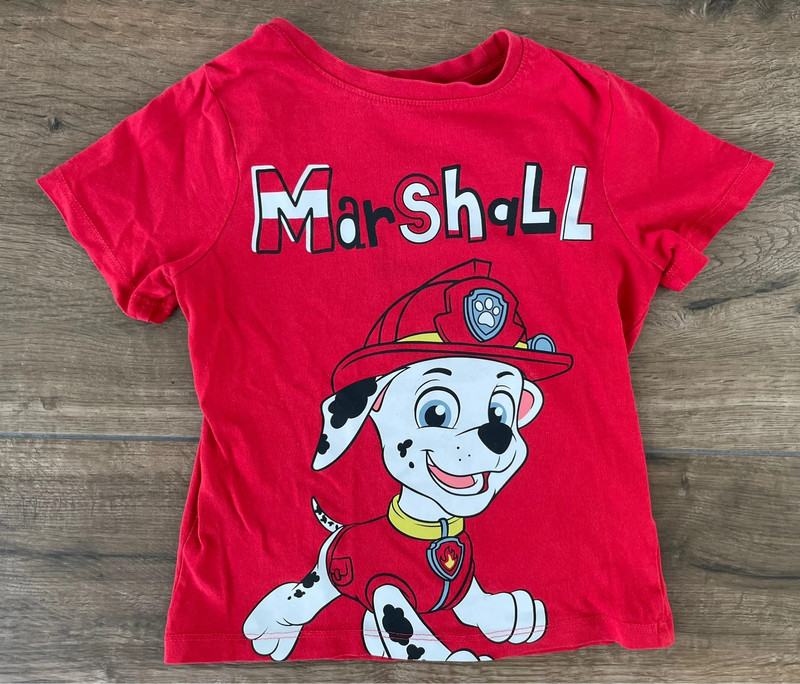 T-Shirt Marshall 110 1