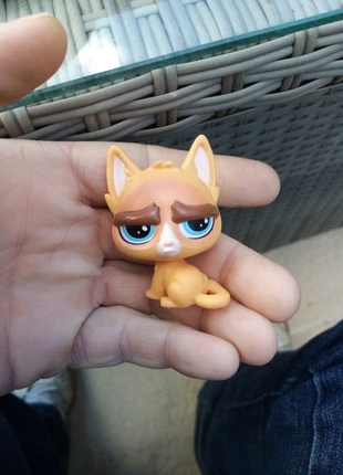 Figurine chat petshop Hasbro, marque: Petshop, état: Bon état, taille: Taille unique, 6,00 €, 7,00 € Protection acheteurs incluse