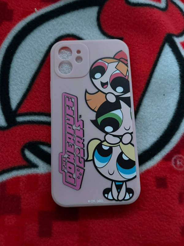 Ppg iPhone 12 case 3