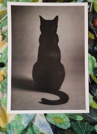 Poster A3 come NUOVO- Gatto nero di spalle - Illustrazione felina, brand: Nero, condizioni: Nuovo senza cartellino, €6.75, €7.79 include la Protezione acquisti