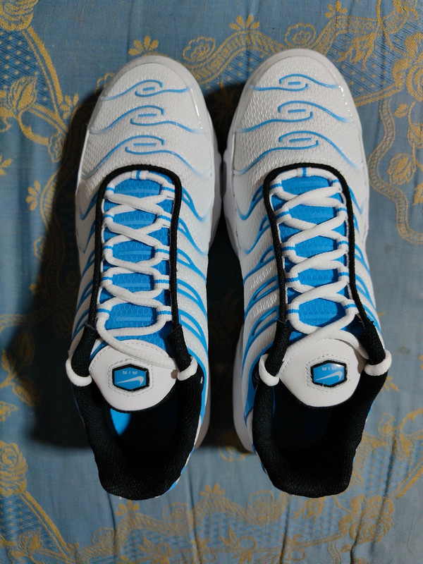 Nike air max plus TN University Blue Gold