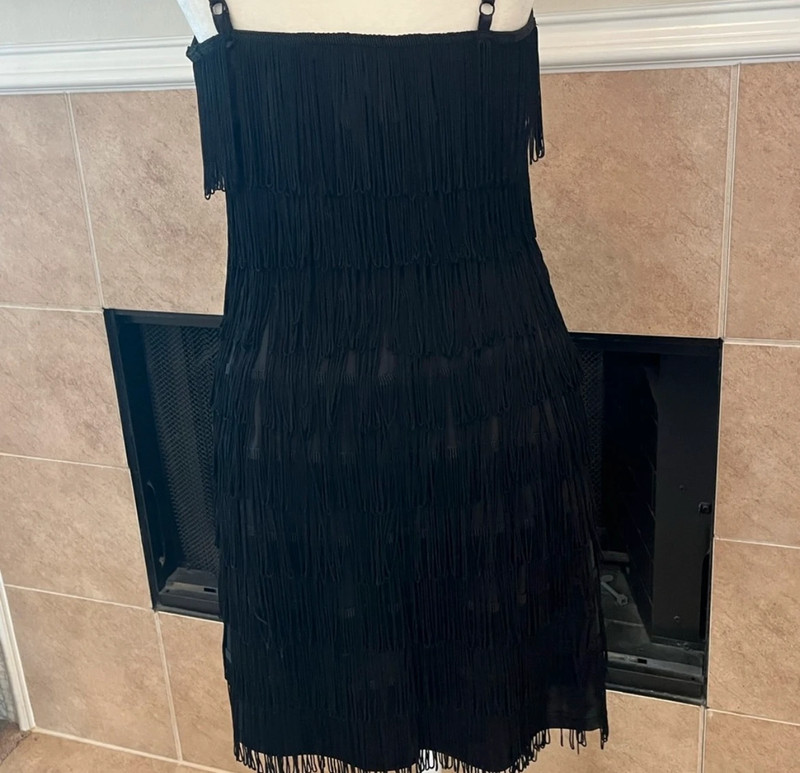 AKIRA Fringe on fringe flapper dress 4