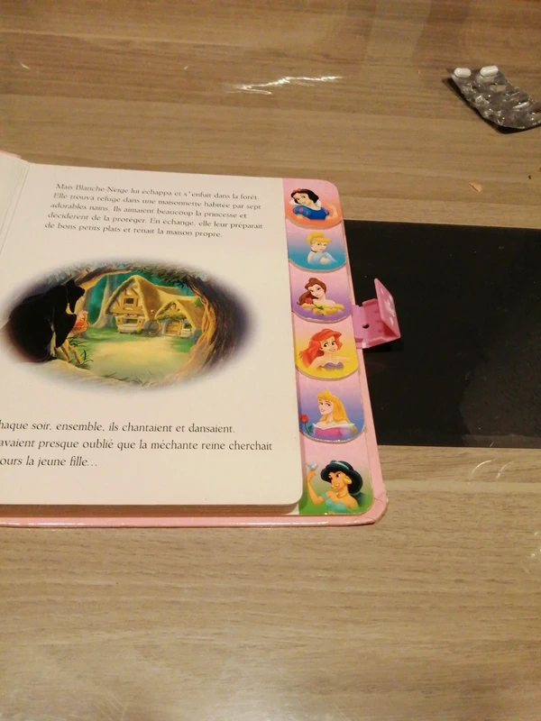 Mes 6 princesses - photo numéro 4