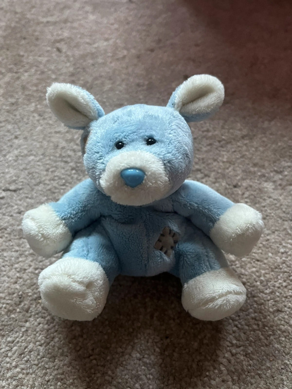 Blue on sale nose teddy