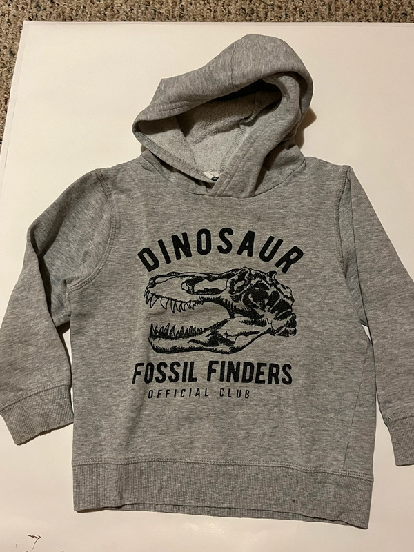 Dinosaur boys gray hoodie 1