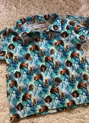 Polo P’tit Filou - 9mnths, marque: P'Tit Filou, état: Très bon état, taille: 6-9 mois / 68 cm, 8,00 €, 9,10 € Protection acheteurs incluse