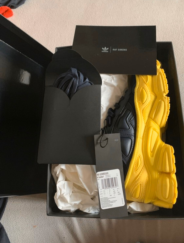 Raf simons ozweego Vinted