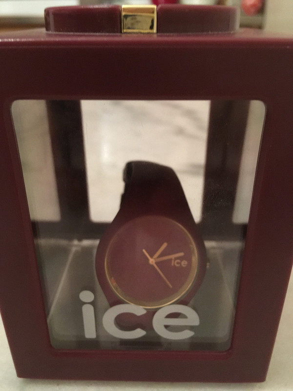 Montre Ice Watch Bordeaux Vinted