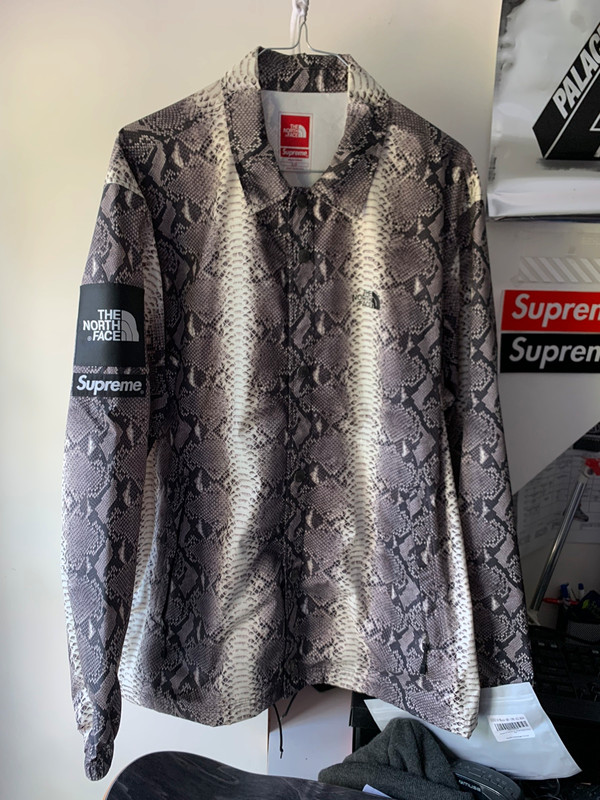 North face store snakeskin