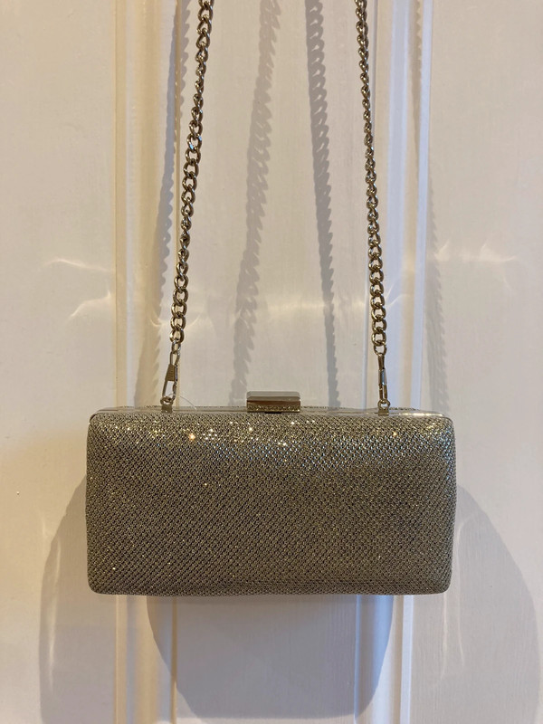 miss kg silver bag