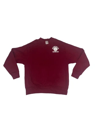 Sweat Universitaire de la marque Fruit of the Loom Couleur Bordeaux - Basket USA - Taille L / Femme, merk: Fruit of the Loom, staat: Heel goed, maat: L / 40 / 12, € 10,00, € 11,20 inclusief Kopersbescherming