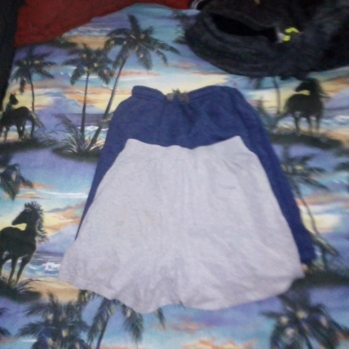 Lot de 2 shorts gris et bleu  1