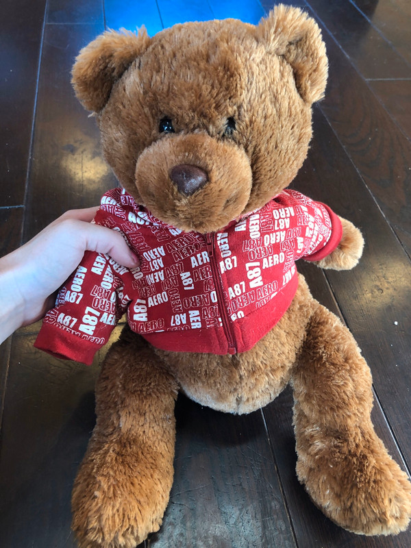 Aeropostale discount teddy bear