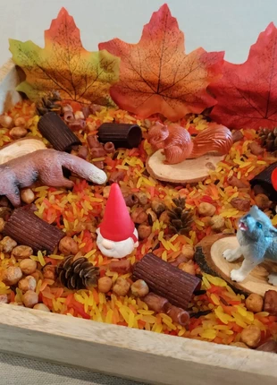 Sensorische tray Herfst dieren, marque: Sensory, état: Très bon état, taille: Taille unique, 19,00 €, 20,65 € Protection acheteurs incluse