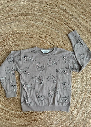 Pull H&M, marque: H&M, état: Très bon état, taille: 6 ans / 116 cm, 5,00 €, 5,95 € Protection acheteurs incluse