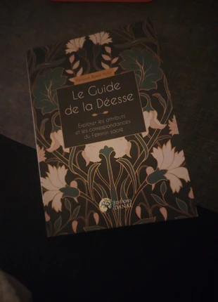 Le guide de la déesse, état: Neuf sans étiquette, 5,00 €, 5,95 € Protection acheteurs incluse