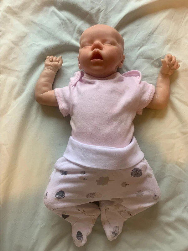 Reborn best sale twin a