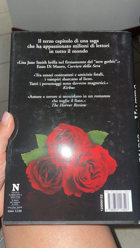 Livro - A Fúria-Diario de um Vampiro