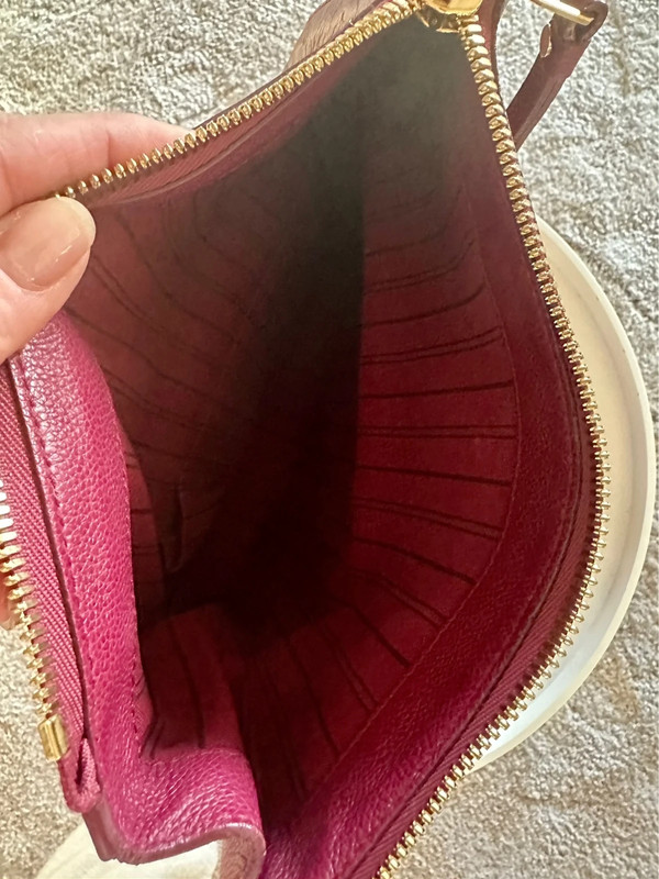 Louis Vouitton Neverfull Clutch - Vinted