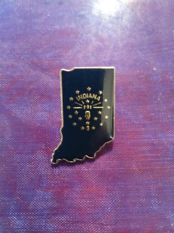 Very beautiful blue and gold Indiana lapel pin 2