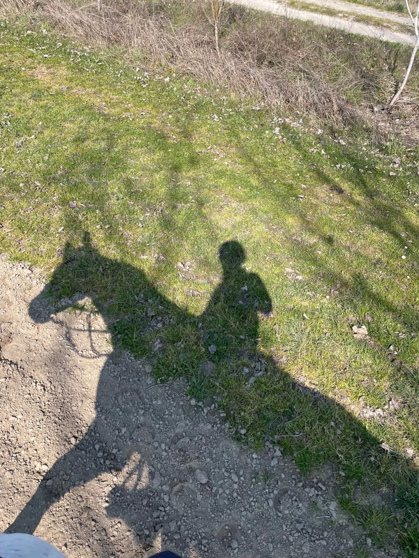 Fred perry scarpe sales alte