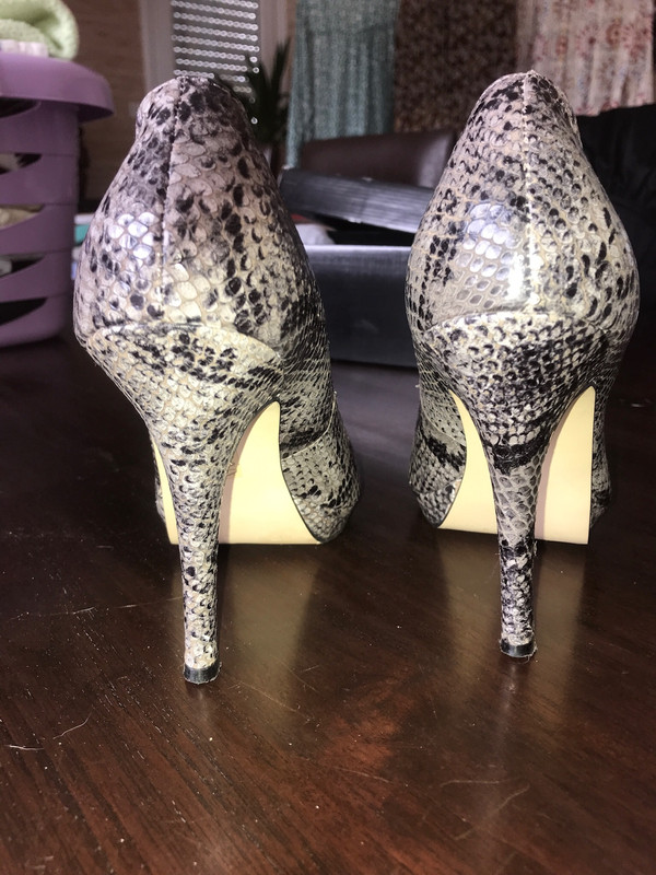 Talons serpent san marina