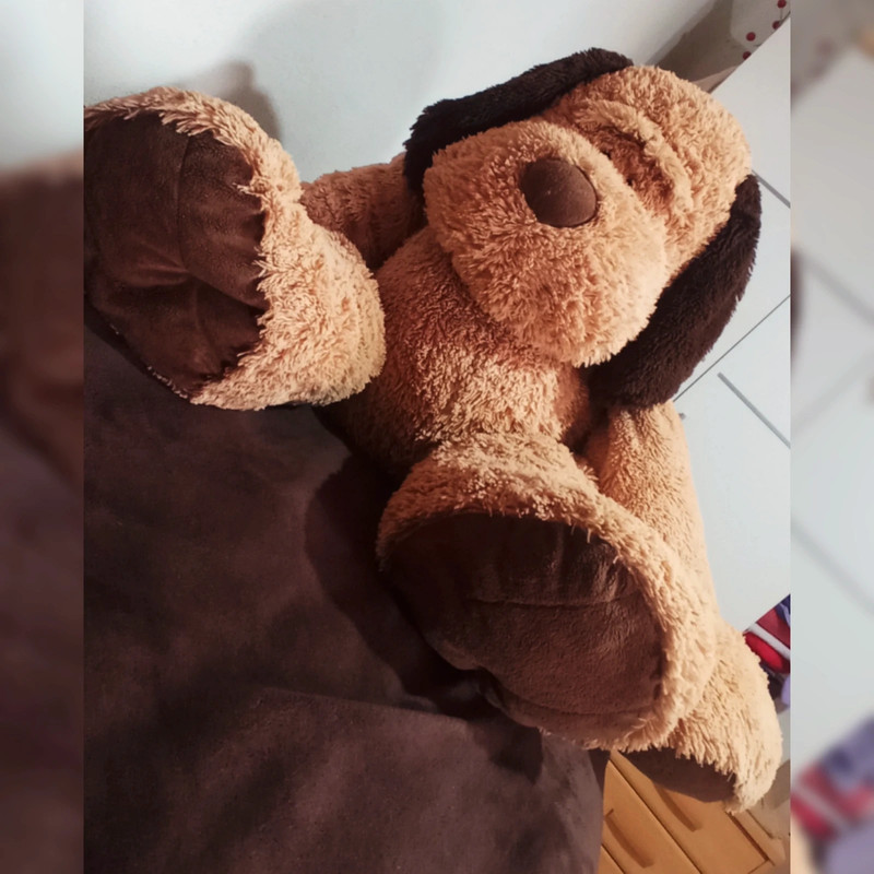 Peluche cheap perro toysrus