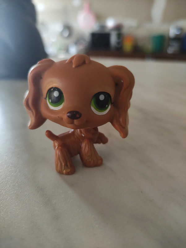 Lps cocker clearance spaniel 252