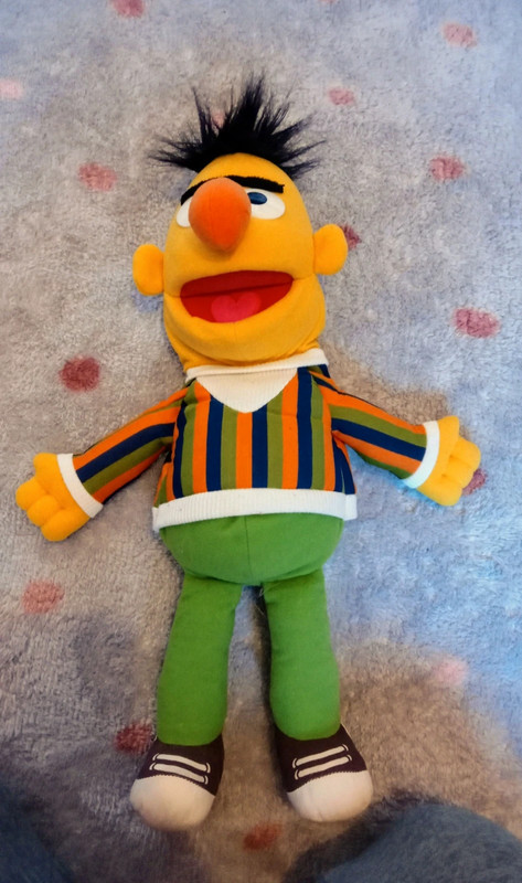 Bert Sesame Street Puppet | Vinted