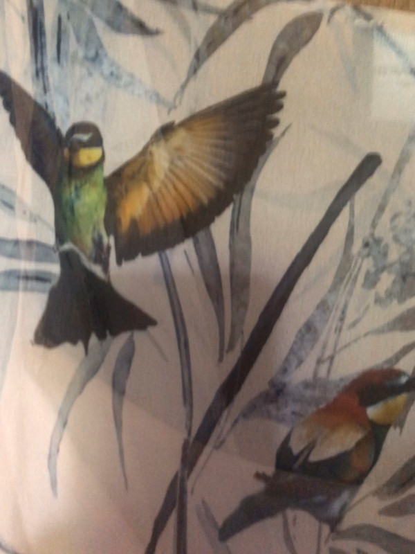duim Verplicht Trekken Prachtige jurk met vogeltjes 🐦 -it 42, valt als 38- - Vinted