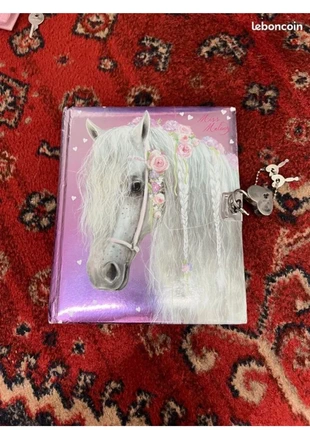 Agenda - Journal intime enfant adulte motif cheval avec cadenas et clés +5 ans, merk: la recre, staat: Heel goed, € 5,00, € 5,95 inclusief Kopersbescherming