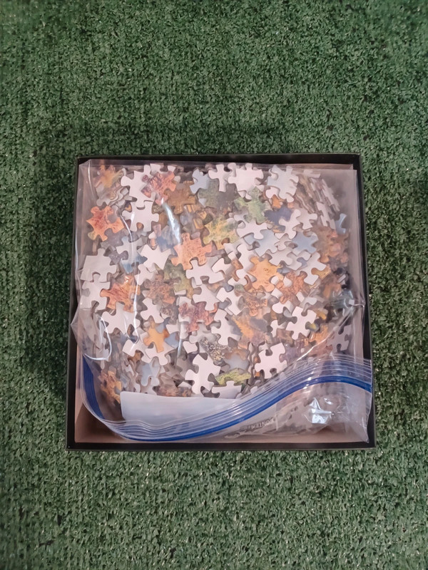 Professor Puzzle Fall 1000 Piece Jigsaw Puzzle 5