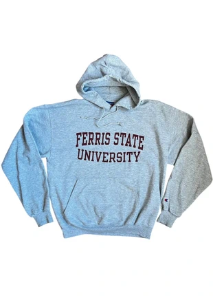 Sweat-shirt à capuche champion universitaire américain taille M gris -, marque: Champion, état: Très bon état, taille: M, 25,00 €, 26,95 € Protection acheteurs incluse