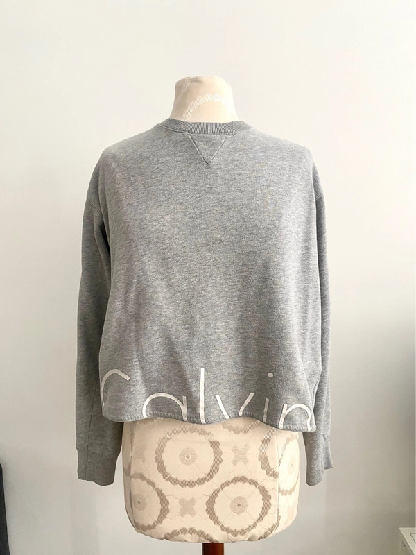 Urban outfitters x Calvin Klein gray & white boxy logo sweatshirt 1