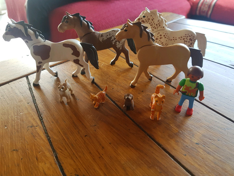 PLAYMOBIL - CHIENS ET CHATS
