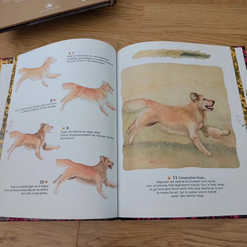 Dessiner et peindre les chiens - photo numéro 3