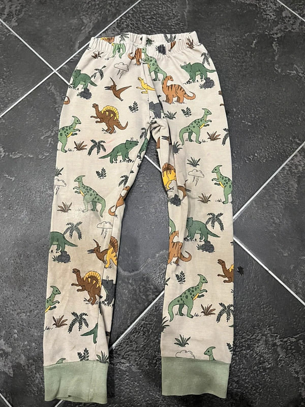 Boys Bear and Babe dinosaur leggings Age 4 5 Vinted