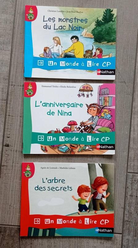 Lot de 3 livres premières lectures 1