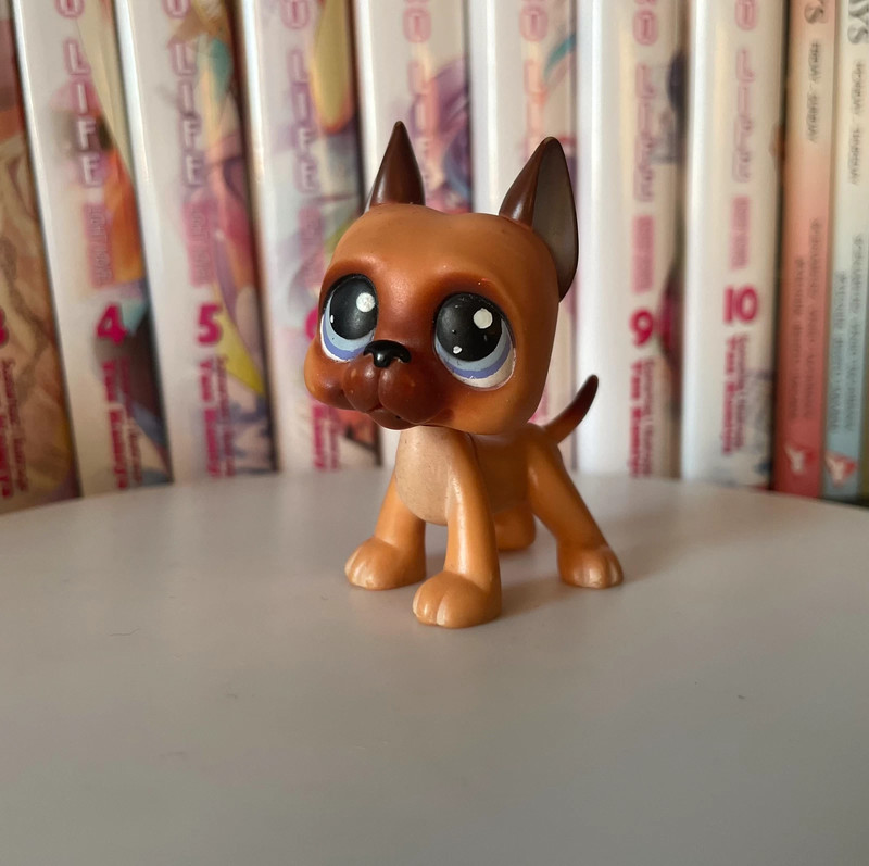 littlest pet shop lps petshop pop  dog #244 niemiecki jamnik shorthair spaniel collie 1