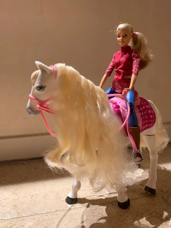 le cheval de rêve de Barbie -Mattel