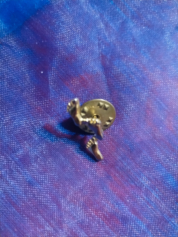 Very beautiful gold footprints in the Sand pin 1