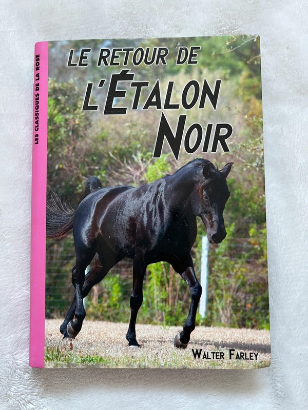 Tome 2 Le retour de l’étalon noir Vinted Tome 2 Le retour de l’étalon noir Vinted