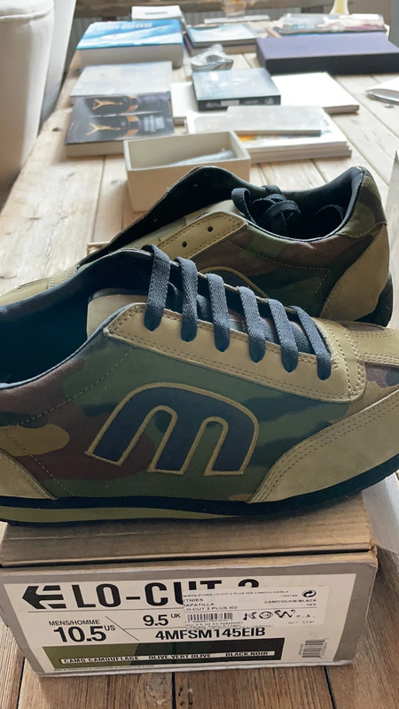 Etnies lo cut 2 Vinted
