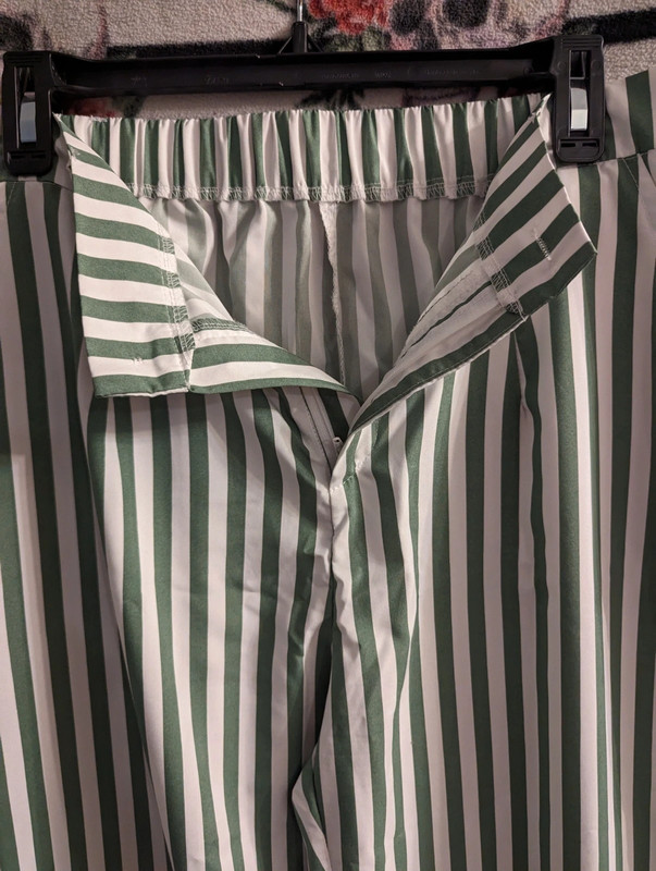 women's stripped slacks 2