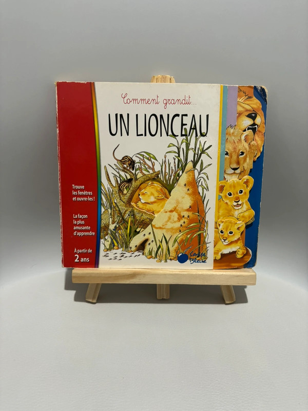 Livre Pour Enfant Un Lionceau 1