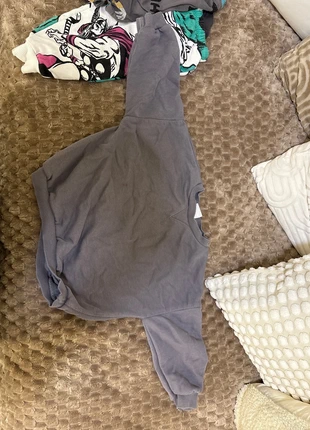 Hoodie zara, merk: Zara, staat: Goed, maat: 3 jaar / 98 cm, € 1,50, € 2,28 inclusief Kopersbescherming