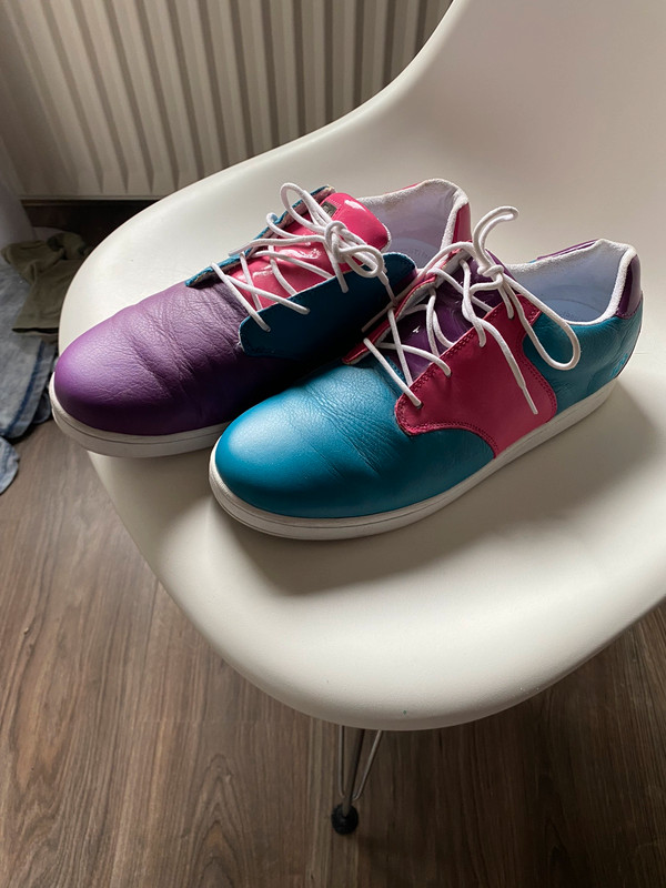 Parra x Etnies schoenen