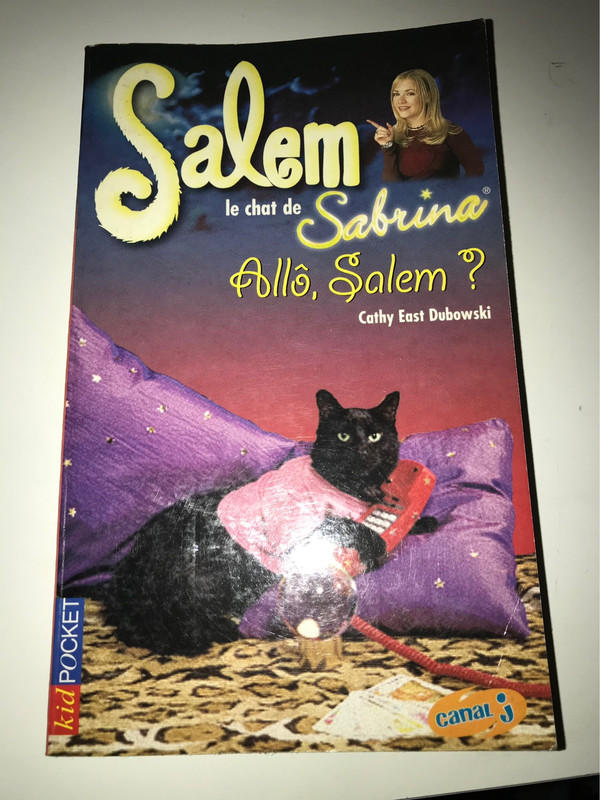 Salem Le Chat De Sabrina Allo Salem Vinted