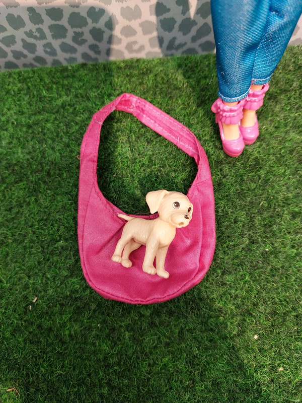 Barbie mit süßem Outfit und hund in der Tasche 2